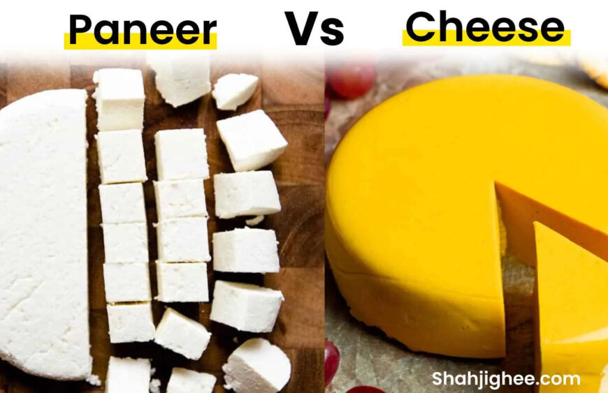 7-Best-Difference-Between-Paneer-and-Cheese-_You-Should-Know_-Shahji-Ghee-1676115776_1411eb6d-9a3c-43d8-99a9-2b2bc4cc9ce9