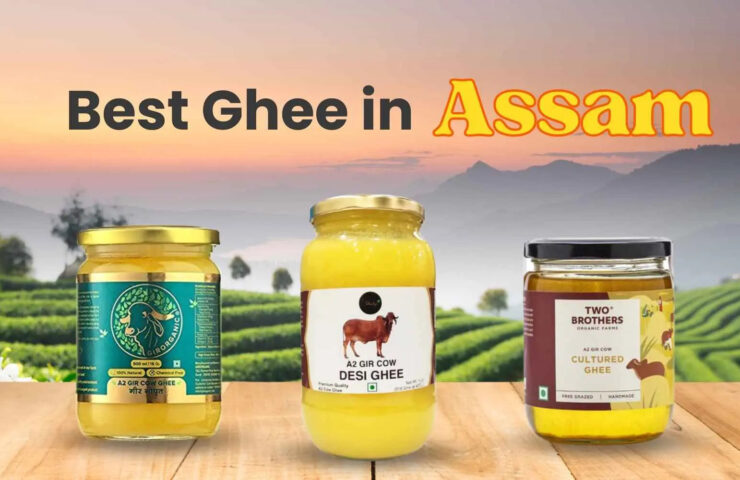 Best Desi Ghee in Assam [2023] Shahji Ghee