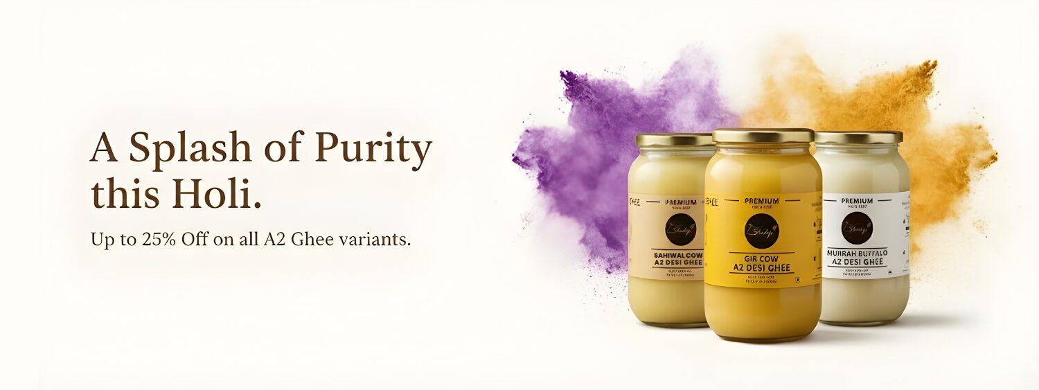 holi homepage banner (8)